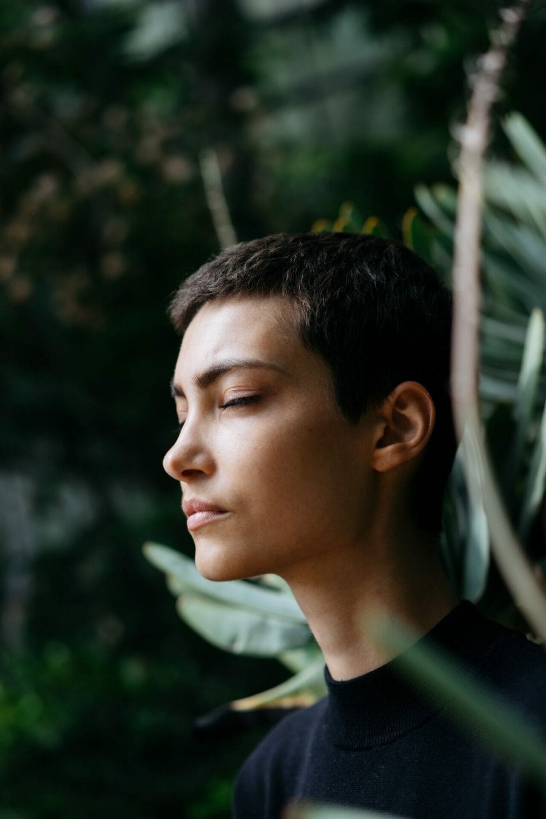 meditate